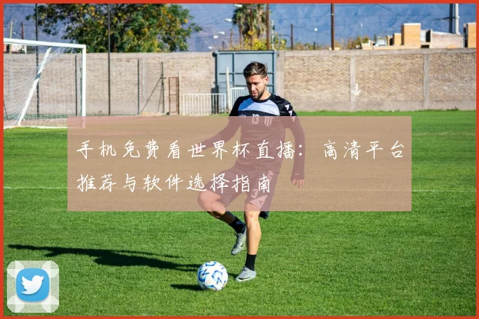 手机免费看世界杯直播：高清平台推荐与软件选择指南